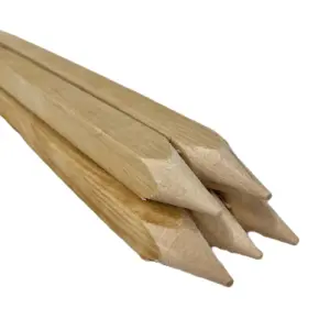 Piket hardhout 22x22